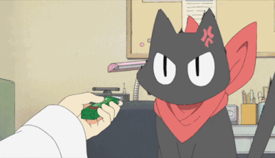 Talking Anime Cat Demands Respect: Sakamoto-san From My Ordinary