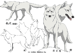 Character design sheet from Wolf's Rain.