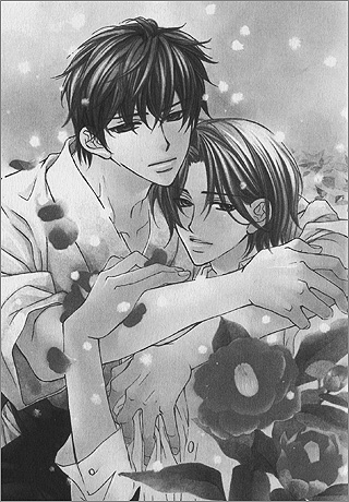 You Will Fall in Love: Illustration from the manga